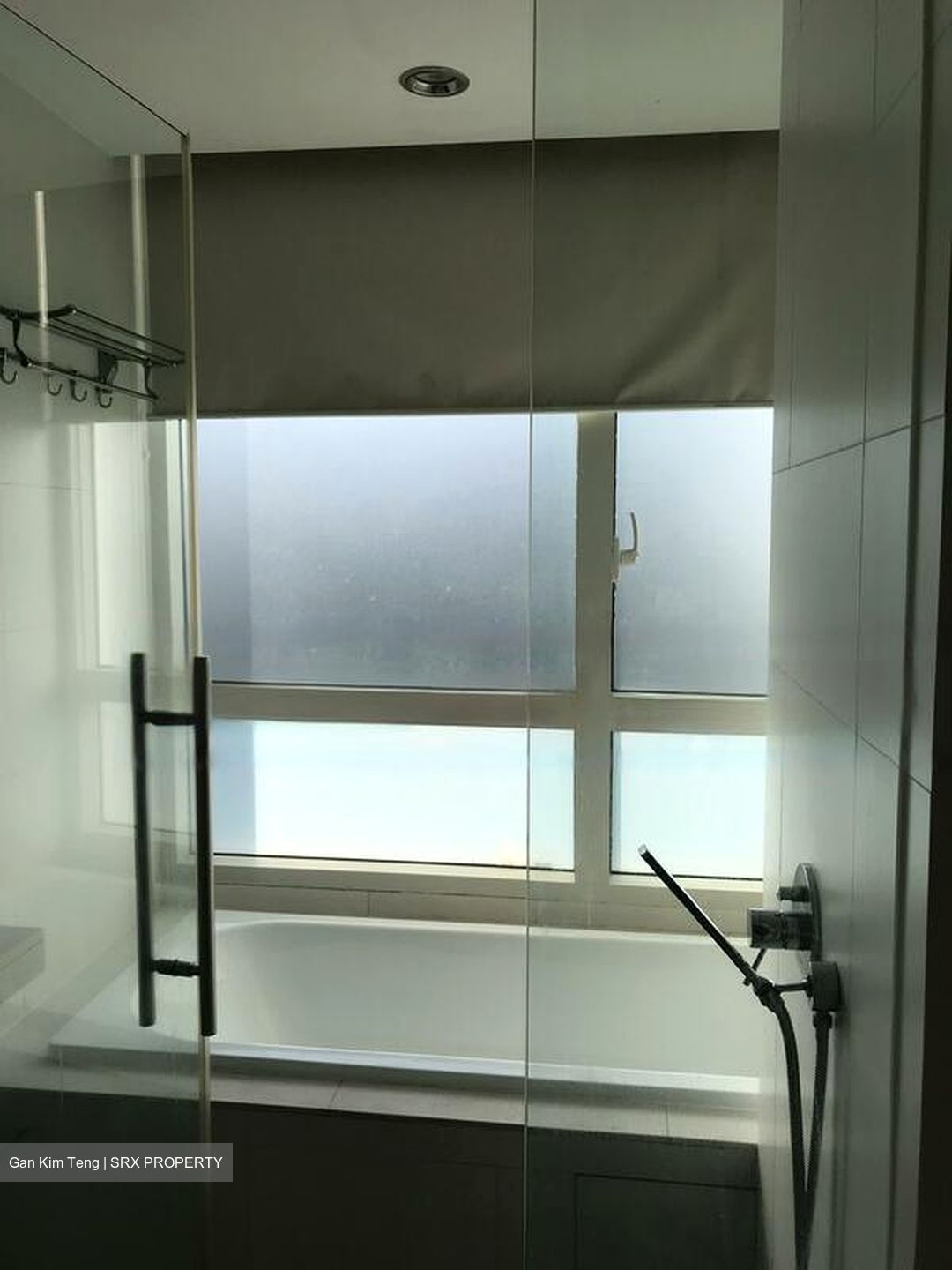 The Sea View (D15), Condominium #450323021